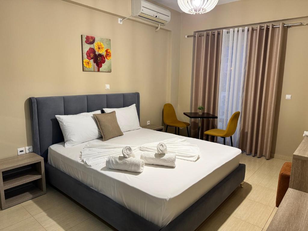 Hotel Driloni